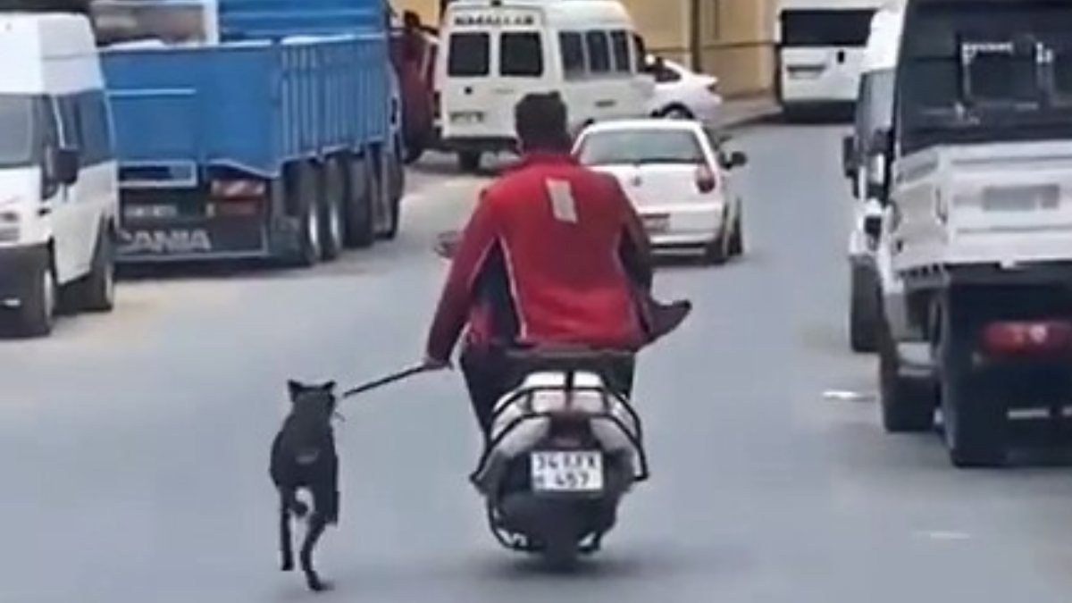 Bağcılar'da motosiklet sürücüsü köpeği yanında koşturdu