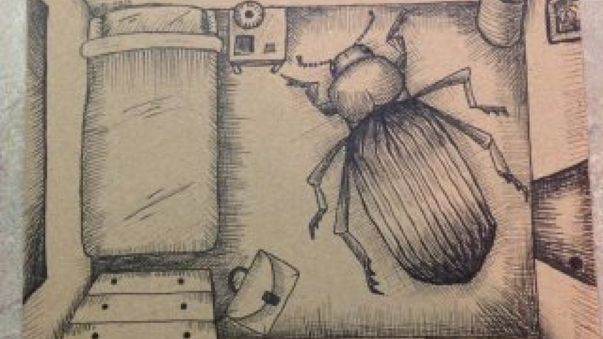 Bir gecede böceğe dönüşen Gregor Samsa'nın hüzün verici öyküsü