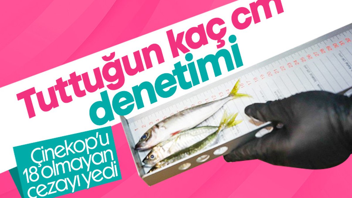 İstanbul'da balıkçılara '18 cm' denetimi
