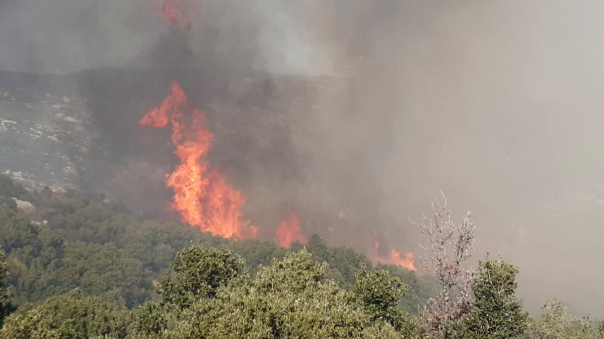 Antalya'da makilik yangını çıktı