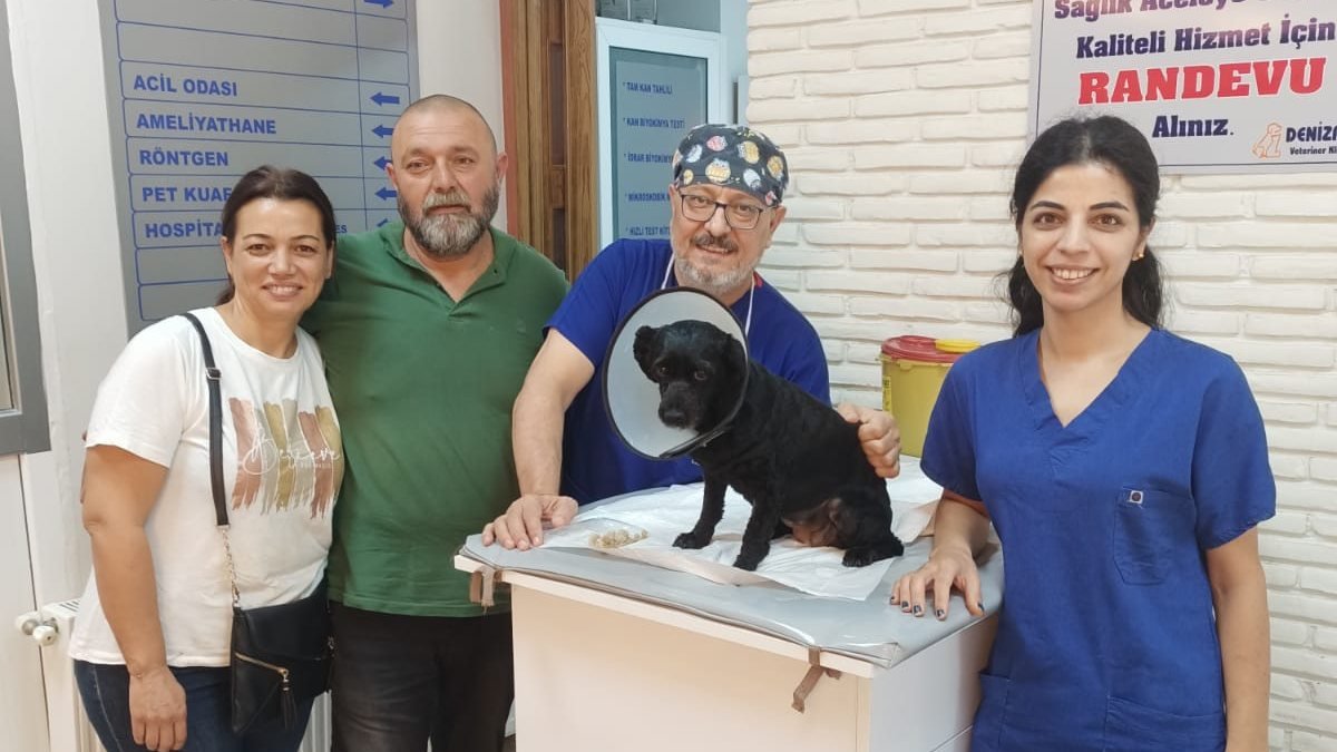Adana'da 'Biber' isimli köpeğin mesanesinden 55 parça taş çıktı