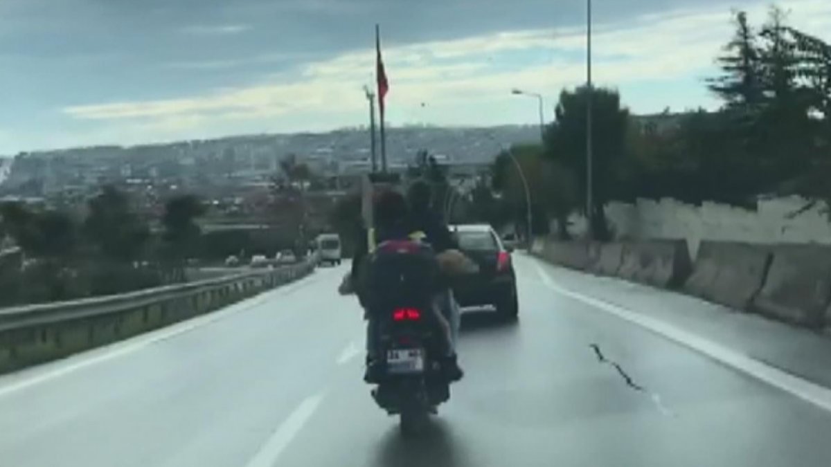 Küçükçekmece'de motosiklet ile köpek taşıdılar