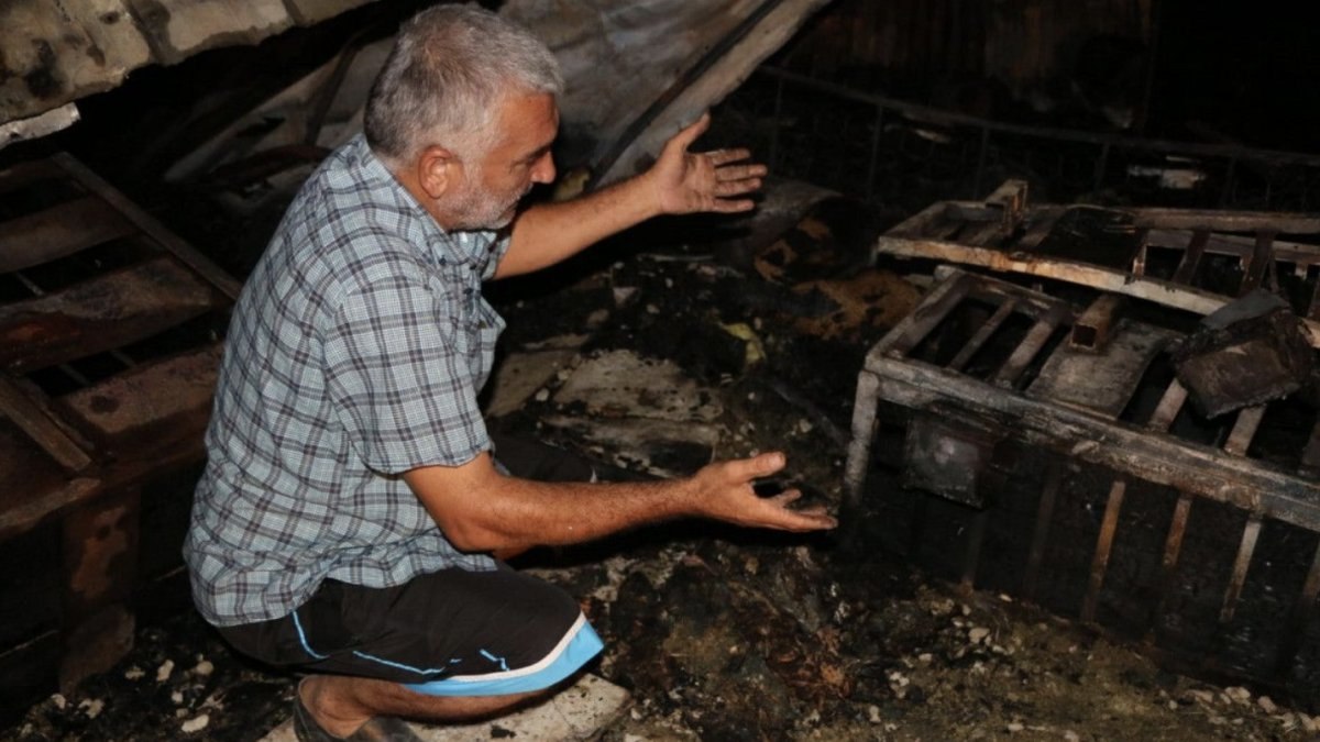 Adana'da kundaklanan barakadaki 90 güvercin yanarak öldü