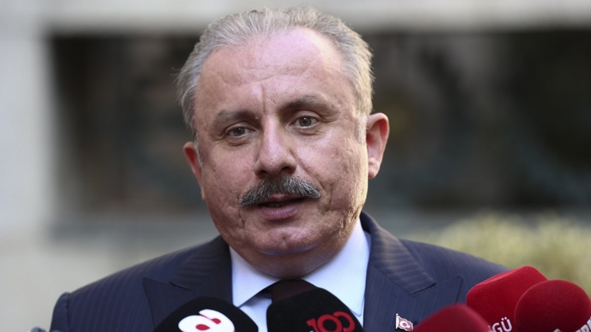 Mustafa Şentop'tan CHP'li Burak Erbay açıklaması