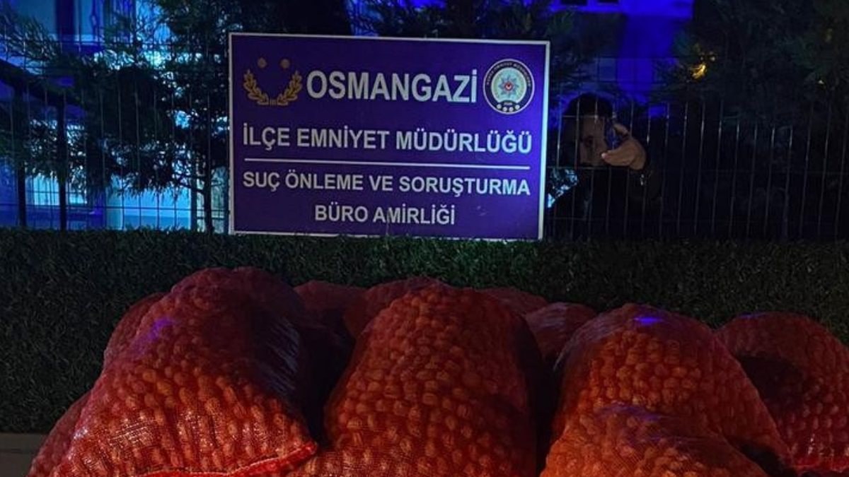 Bursa'da 200 bin TL'lik cevizleri alıp kaçtı