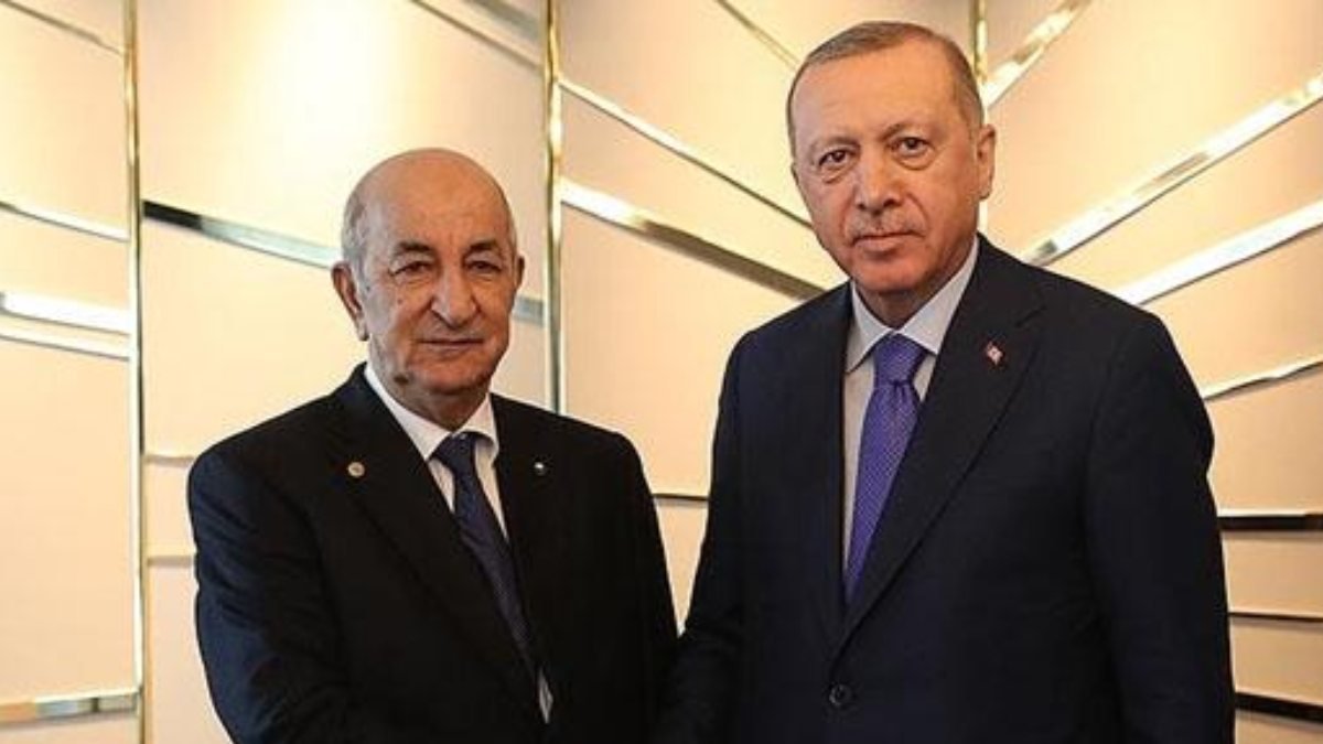 Cumhurbaşkanı Erdoğan, Abdülmecid Tebbun ile görüştü