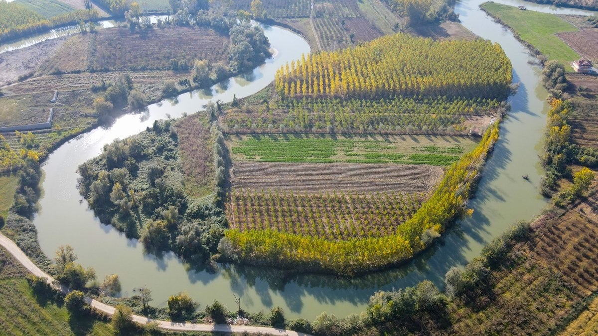 Sakarya'da Melen Çayı sonbahar renklerine büründü