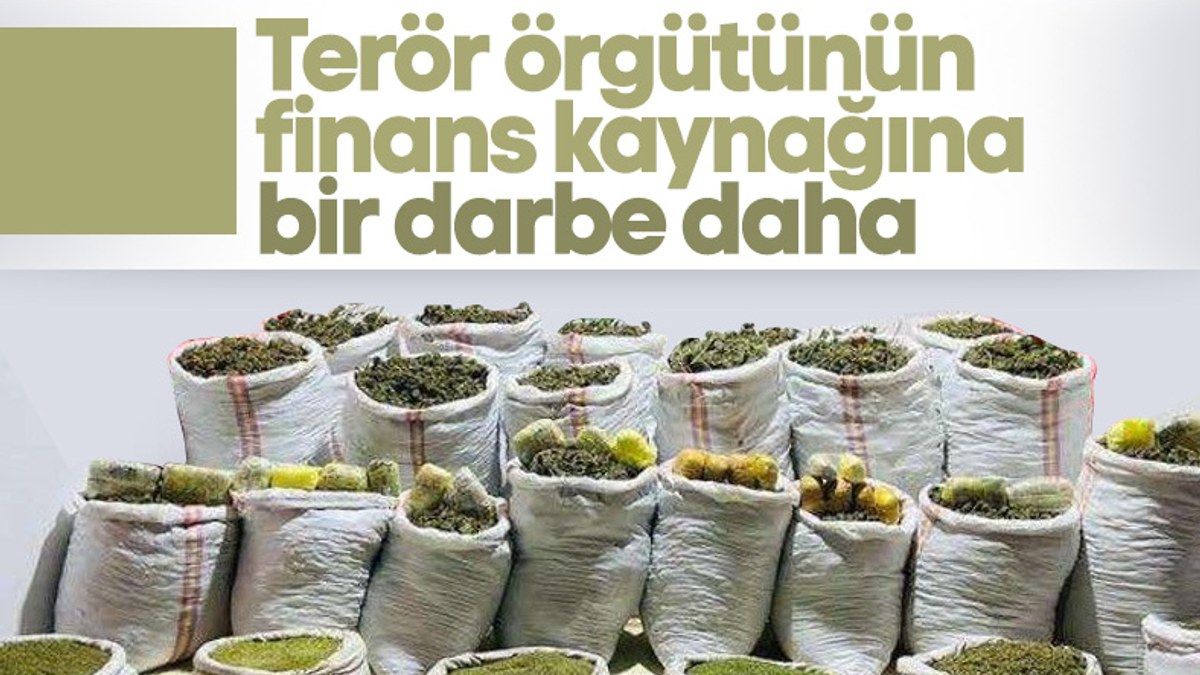Diyarbakır'da uyuşturucu operasyonu: 750 kilo toz esrar ile 1200 kilo kubar esrar yakalandı