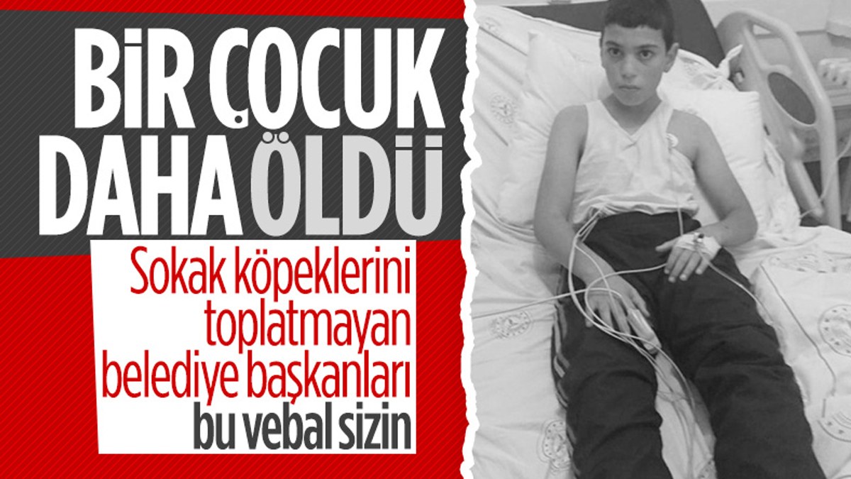 Bitlis'te köpek saldırısında kuduz olan çocuk hayatını kaybetti