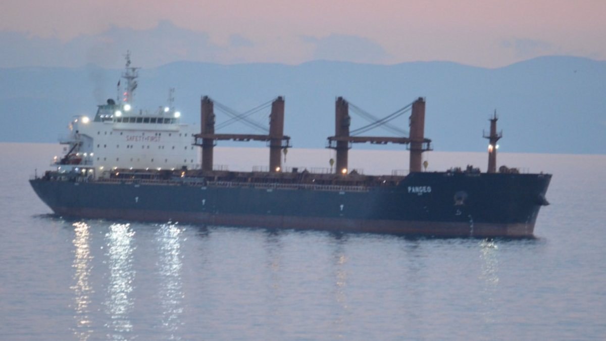 Yunanistan'dan hareket eden yük gemisi, Tekirdağ'da karaya oturdu