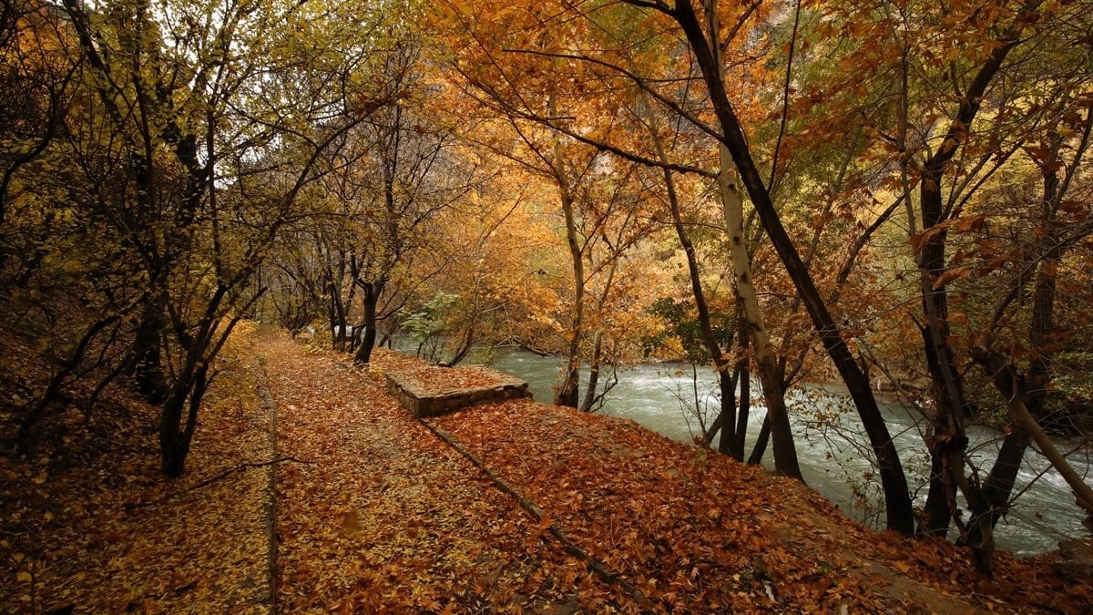 Malatya Tohma Kanyonu'na sonbaharın renkleri hakim oldu