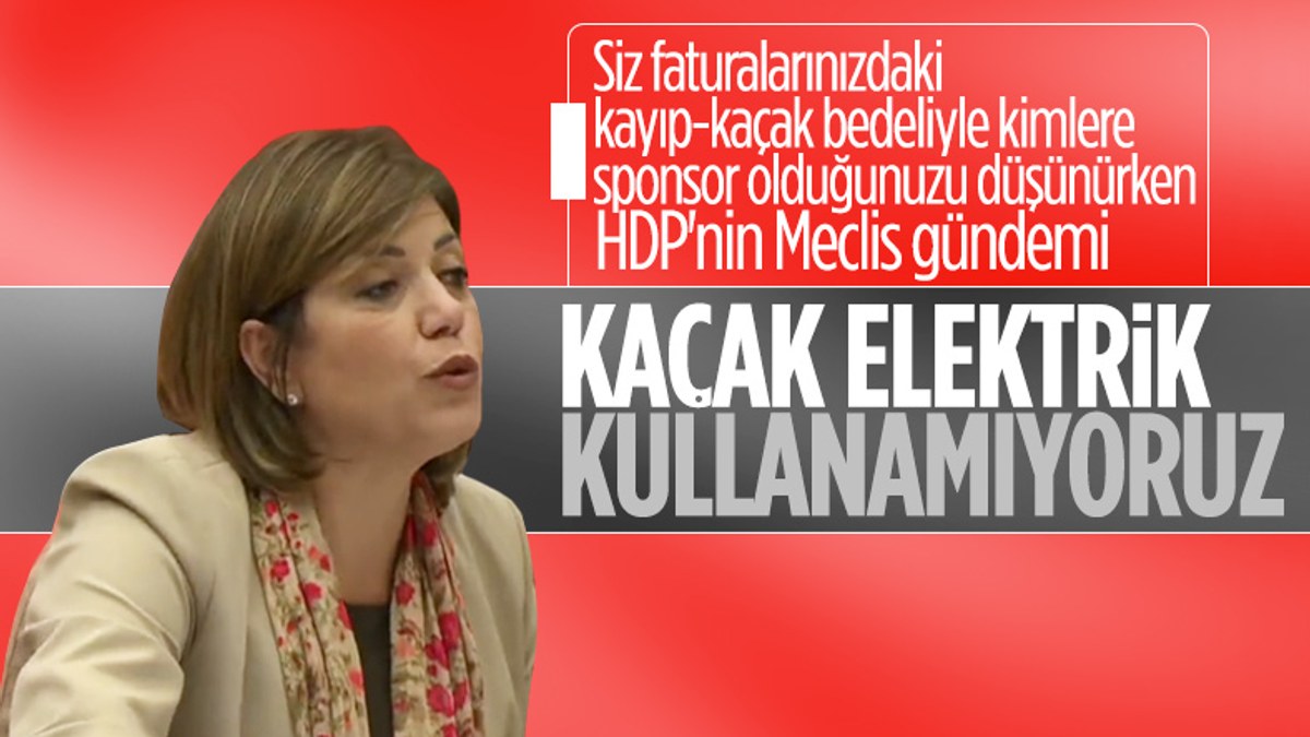 HDP'li Meral Danış Beştaş, kaçak elektrik kullanan mahalleliyi savundu 