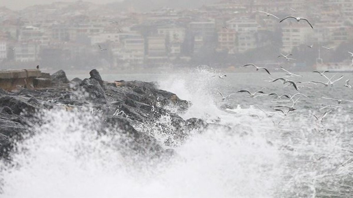 İstanbul'da deniz ulaşımına, hava muhalefeti engel oldu