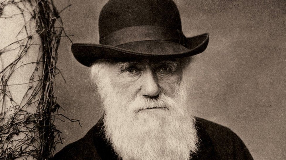 Charles Darwin'in Majestelerin Gemisi Beagle Günlüğü kitabı 