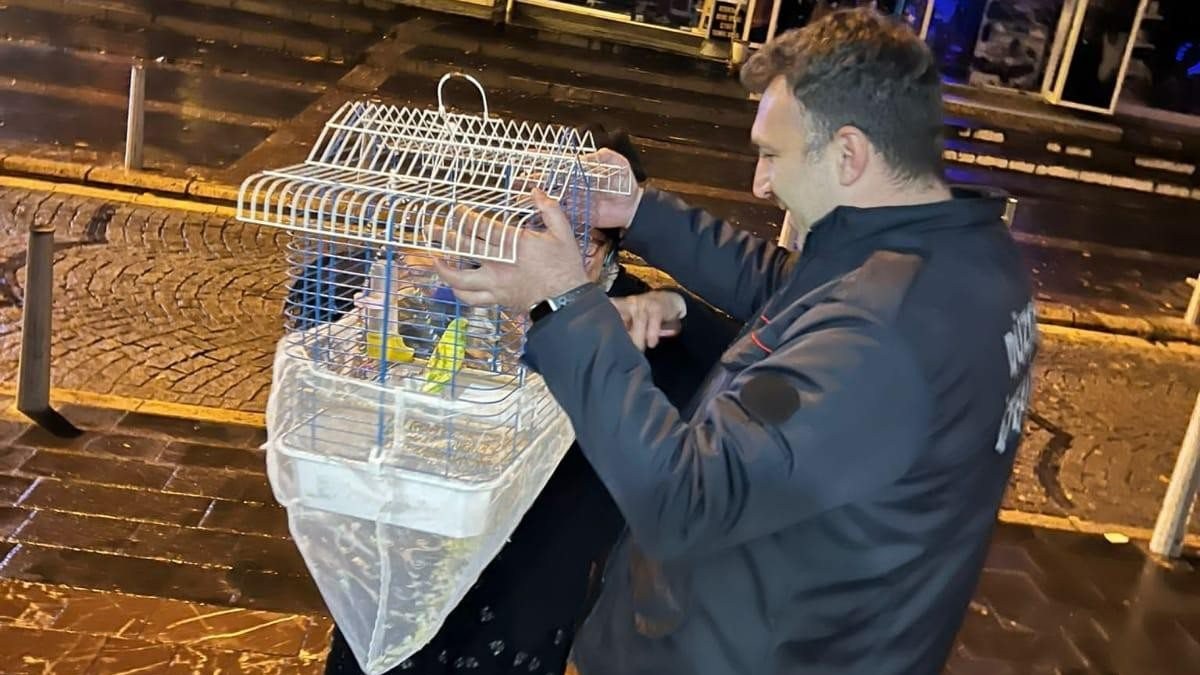 Düzce'de itfaiye mahsur kalan muhabbet kuşunu kurtardı