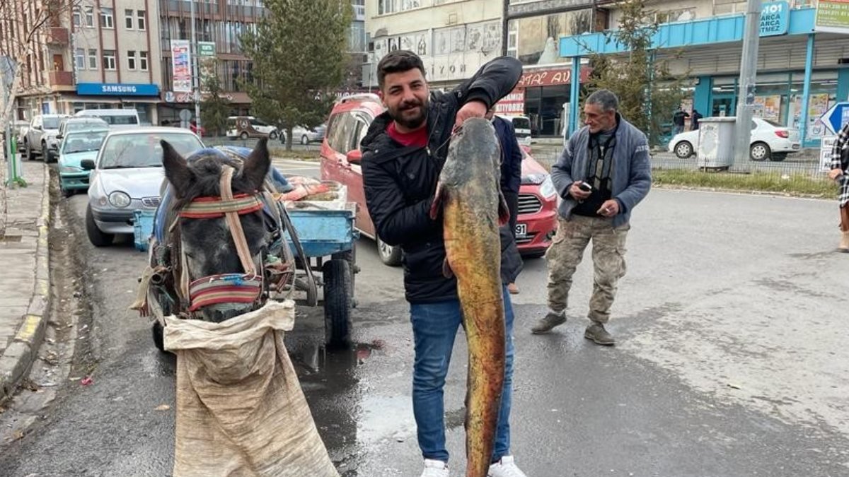 Ardahanlı balıkçı 1.5 metrelik balık yakaladı