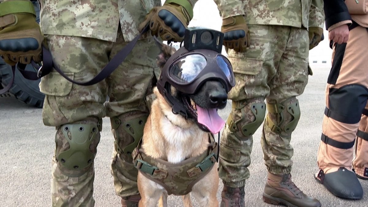 Dünya Kupası'nda Mehmetçik'e bomba arama köpeği destek verecek