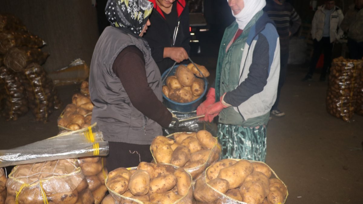 Sandıklı patatesi, mağara depolardan satışta