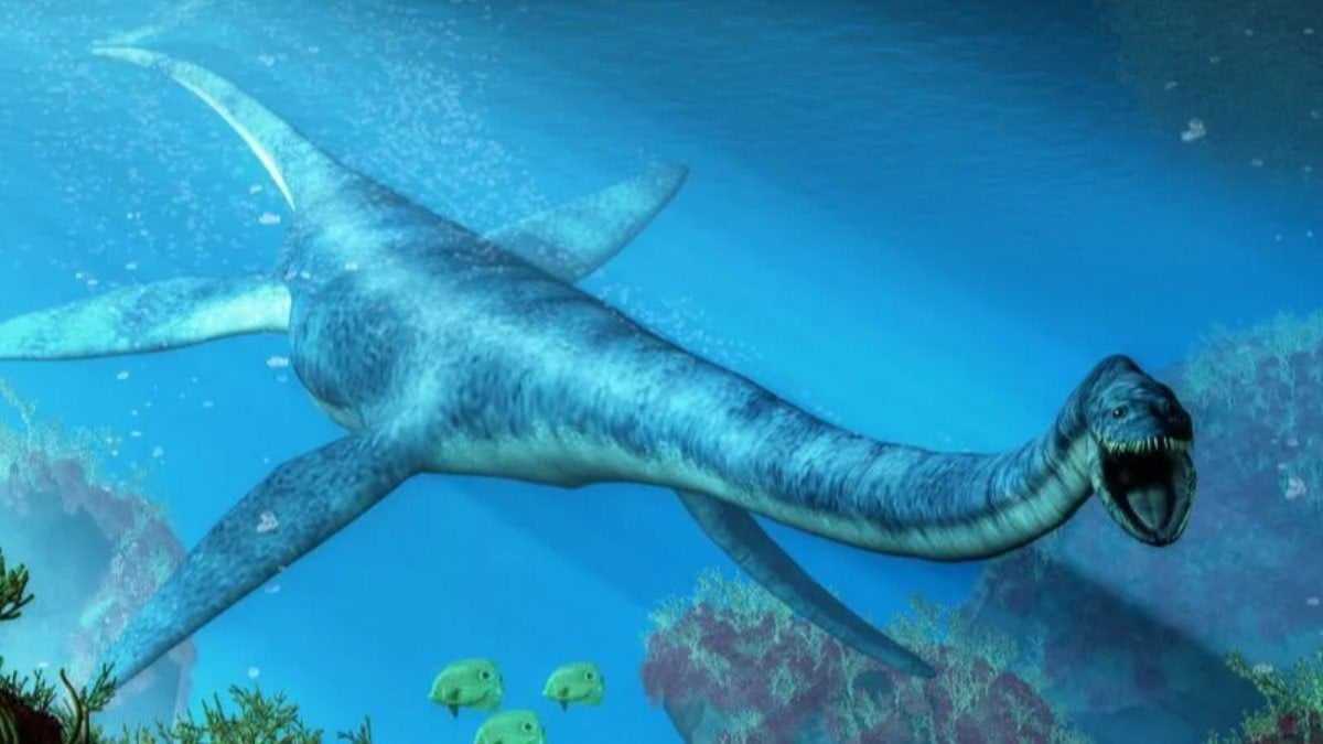 Avustralya'da 100 milyon yıllık elasmosaurus iskeleti bulundu