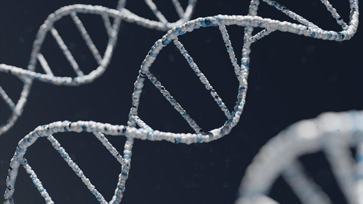 Dünyanın en eski DNA örneği bulundu