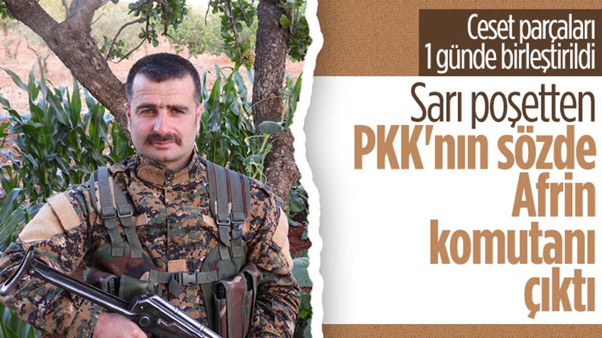 PKK'nın sözde Afrin komutanı Fehmi Muhammed öldürüldü