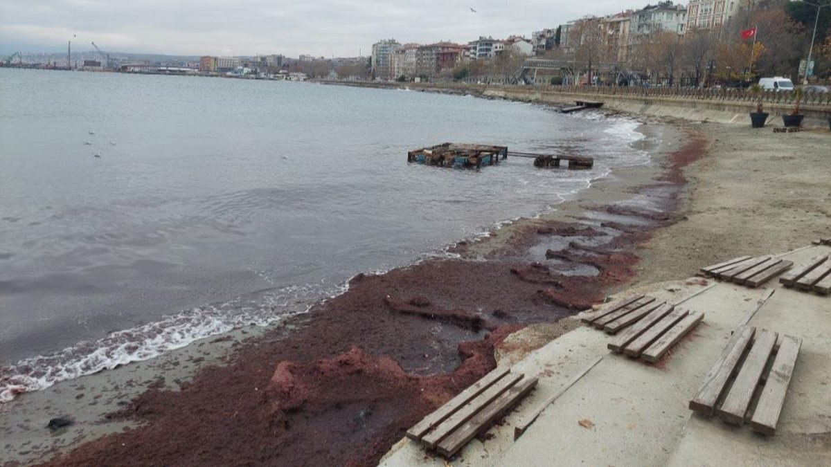 Tekirdağ sahili kırmızıya büründü