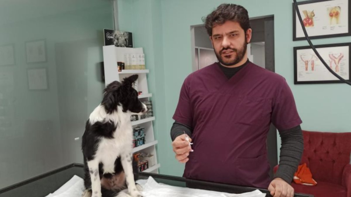 Evcil hayvan çipleme işleminde beyanname kolaylığı