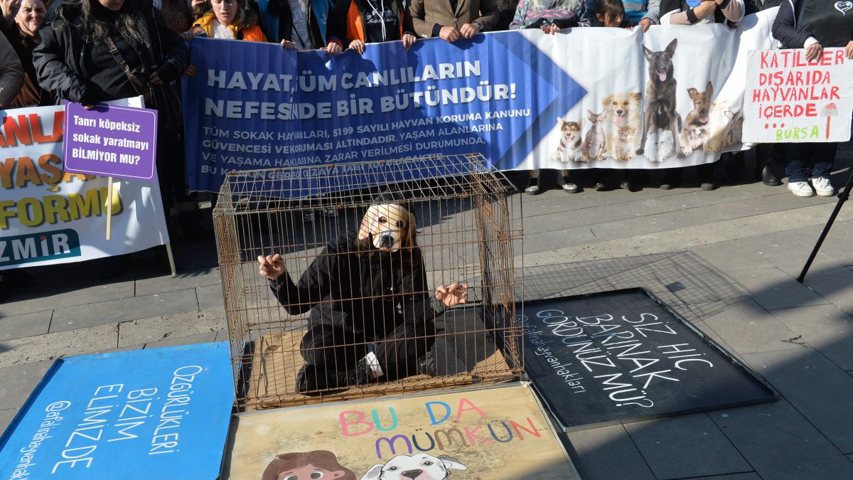 Hayvanseverlerden sokak köpekleri toplatılmasın tiyatrosu