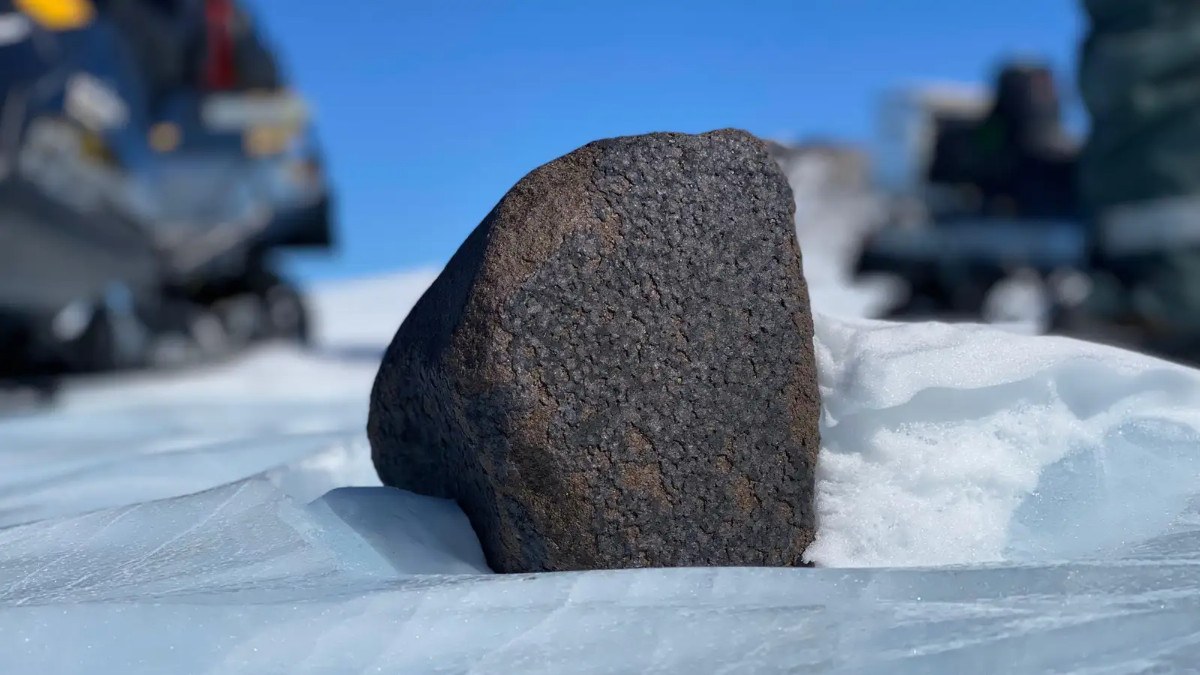 Göktaşı avcıları Antarktika'da 7 kiloluk uzay kayası buldu