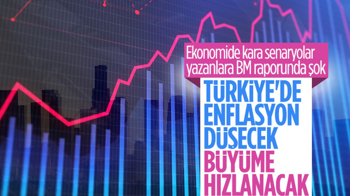 BM'nin raporundan Türkiye'de enflasyonun düşeceği sonucu çıktı
