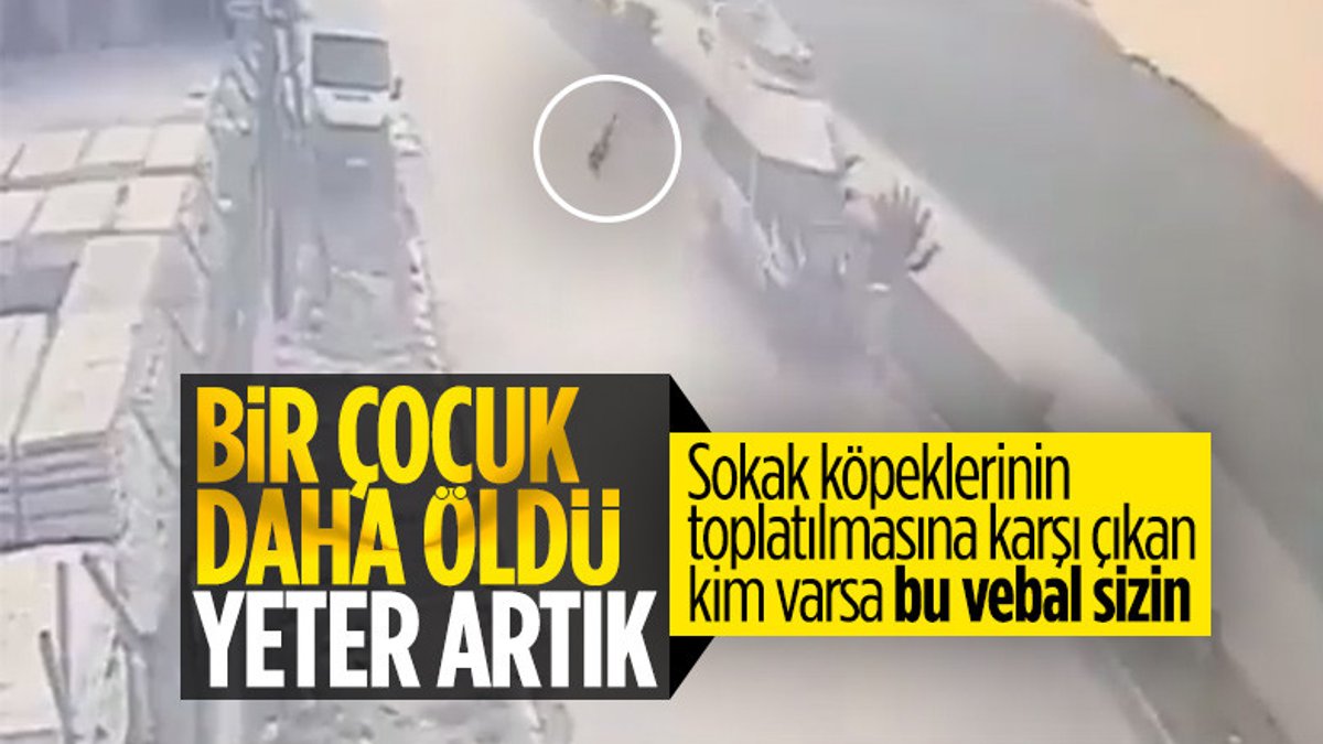 Adana'da sokak köpeğinden kaçarken minibüsün çarptığı çocuk öldü