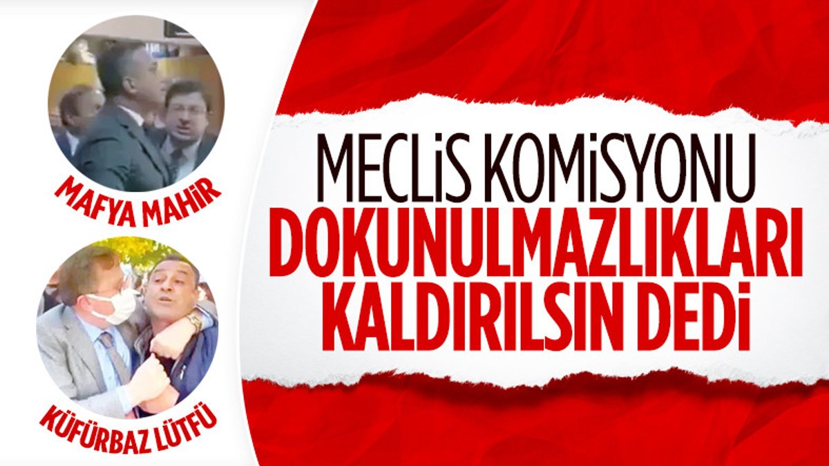 Ali Mahir Başarır ve Lütfü Türkkan'ın dokunulmazlığı kaldırılsın kararı