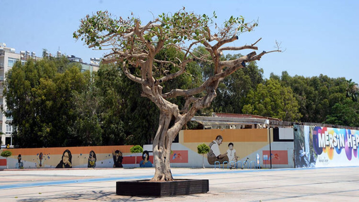 Özgecan Aslan Barış Meydanı'ndaki sembol ağacı kurutanlara hapis cezası