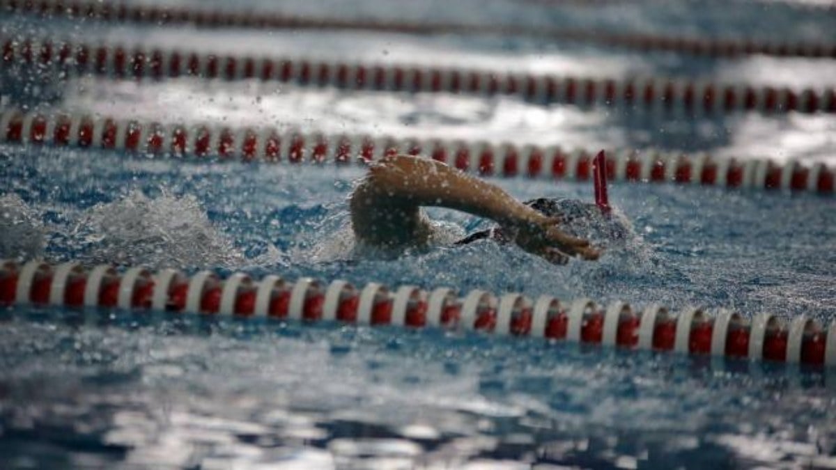 Milli yüzücüler Hollanda'da, bir altın bir bronz madalya kazandı
