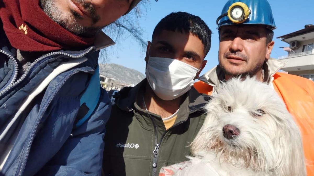 Hatay'da 204 saat sonra enkazdan köpek çıkarıldı