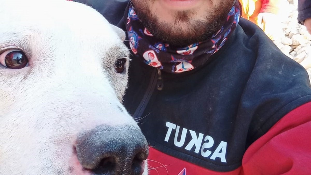 Kahramanmaraş'ta enkaz altında kalan köpek 6 gün sonra kurtarıldı