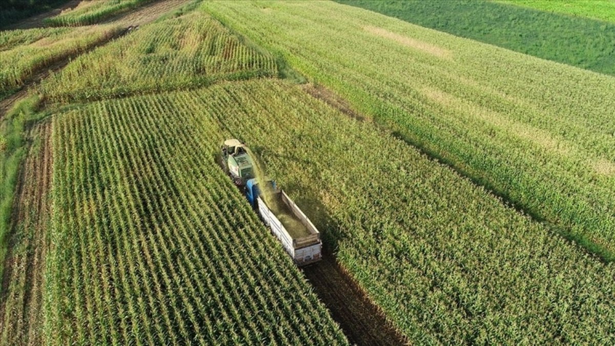 Çiftçilerin 49,5 milyon liralık destek ödemeleri bugün gerçekleştirilecek