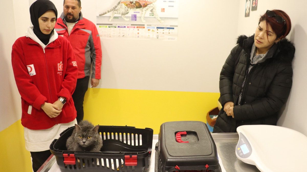 Kahramanmaraş'ta vefat eden arkadaşının kedisini sahipsiz bırakmadı