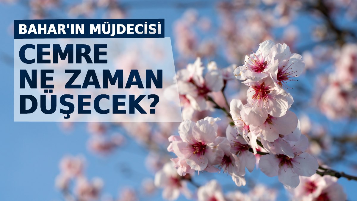 İlk cemre düştü mü 2023? Baharın müjdeleyicisi cemre ne zaman düşecek? İşte 1. 2. ve 3. Cemre tarihleri