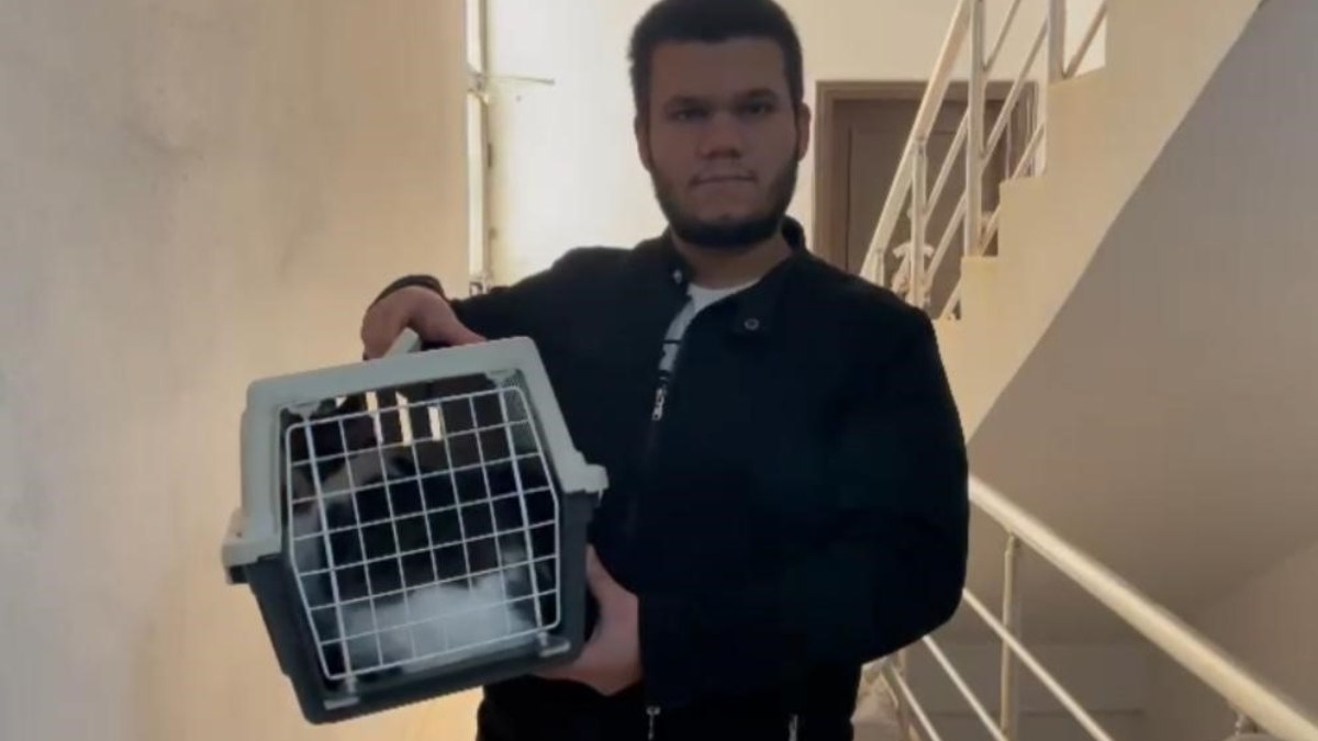 Antalya'da kaybolan kedisinin yerini rüyasında gördü