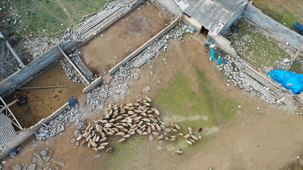 Deprem bölgesinde, tarımla ilgili 11 milyon TL hasar ödemesi yapıldı