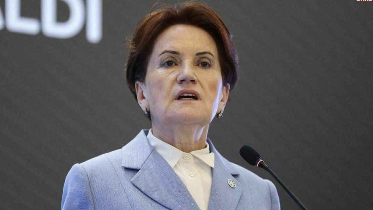 Meral Akşener, Yılmaz Özdil'e destek çıktı