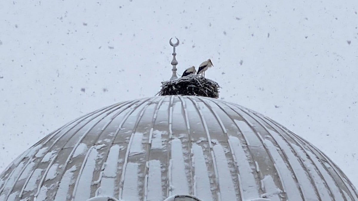 Konya'da kar yağışı! Baharın habercisi leylekler kente geldi