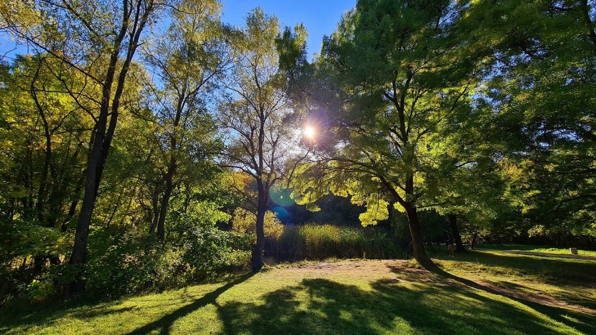 Bugün hava nasıl olacak? Meteoroloji haritayı yayınladı! (30 Mart 2023 Perşembe)