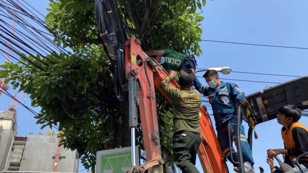 Tayland'da alkollü şahıs, elektrik tellerinde uyuyakaldı