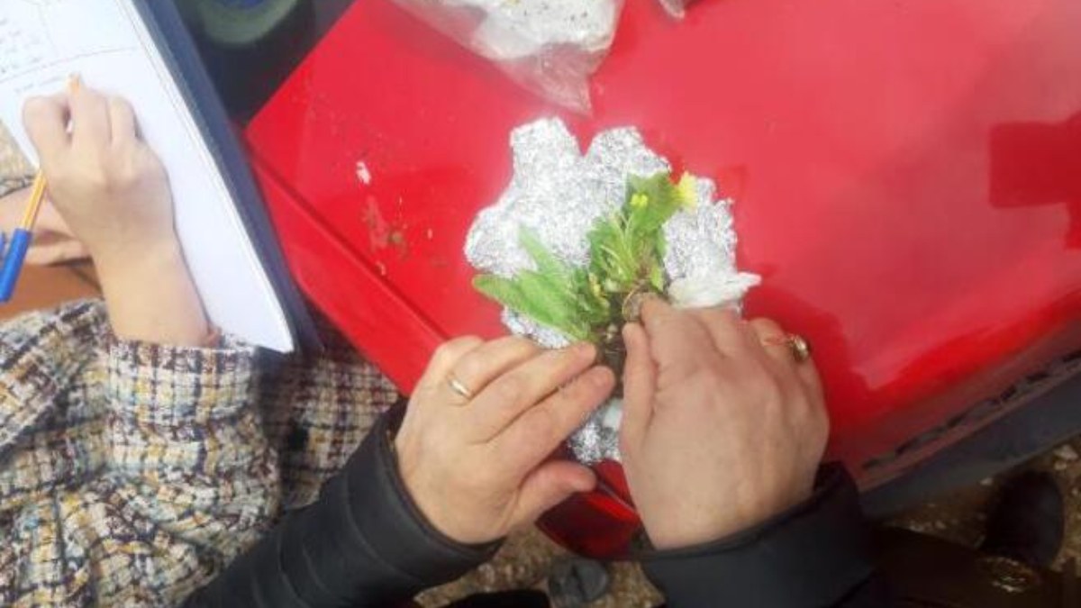 Amasya'da bitki çalan Slovakyalı 2 turist yakalandı