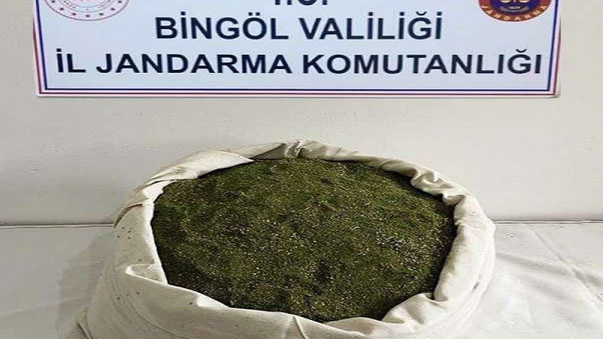 Bingöl’de jandarma ekipleri, 21 kilo toz esrar ele geçirdi