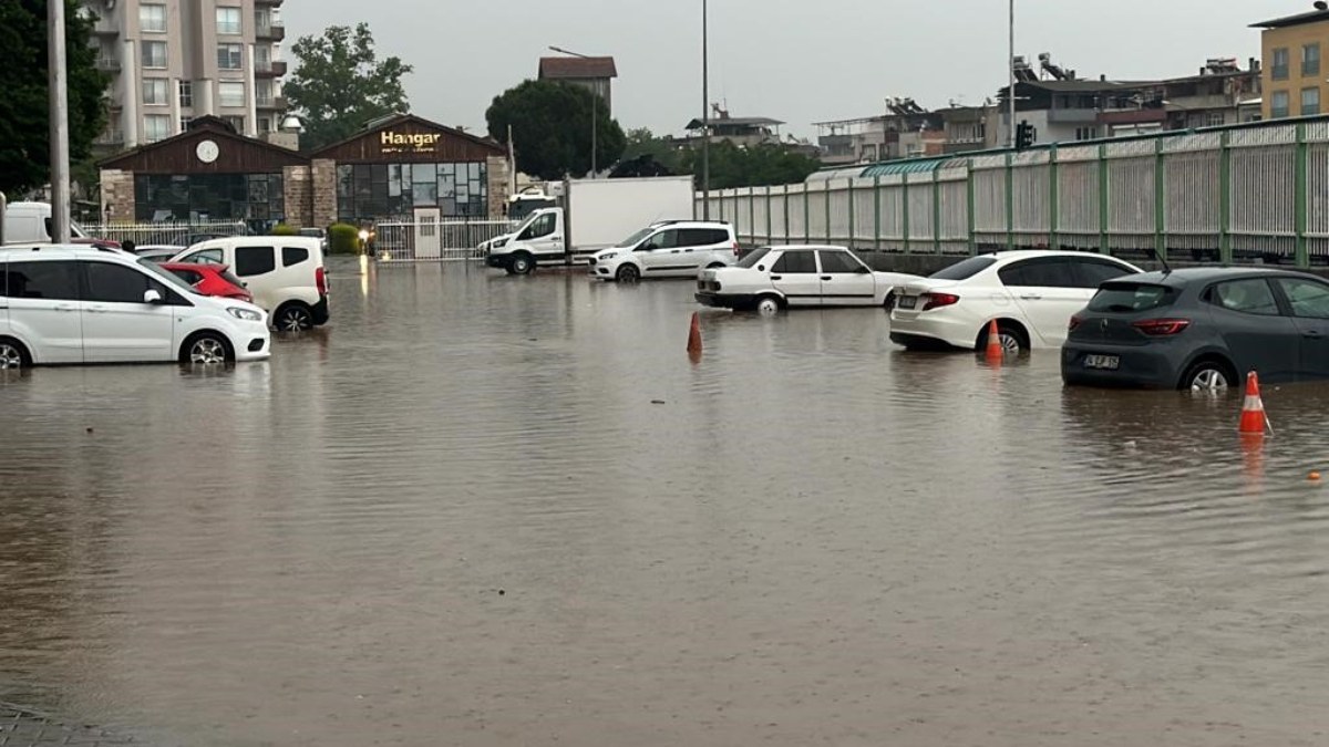 Aydın'da kuvvetli yağış etkili oldu