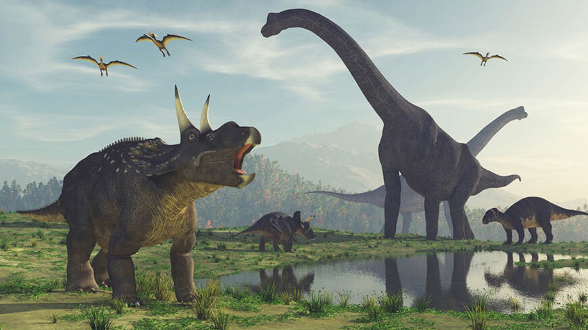 30 metrelik dev! En büyük dinozor türlerinden biri keşfedildi