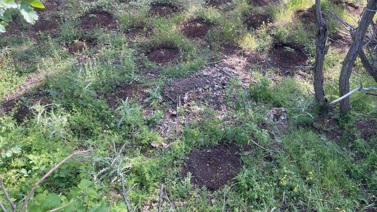 Bingöl'de toprağa gömülü patlayıcı madde bulundu